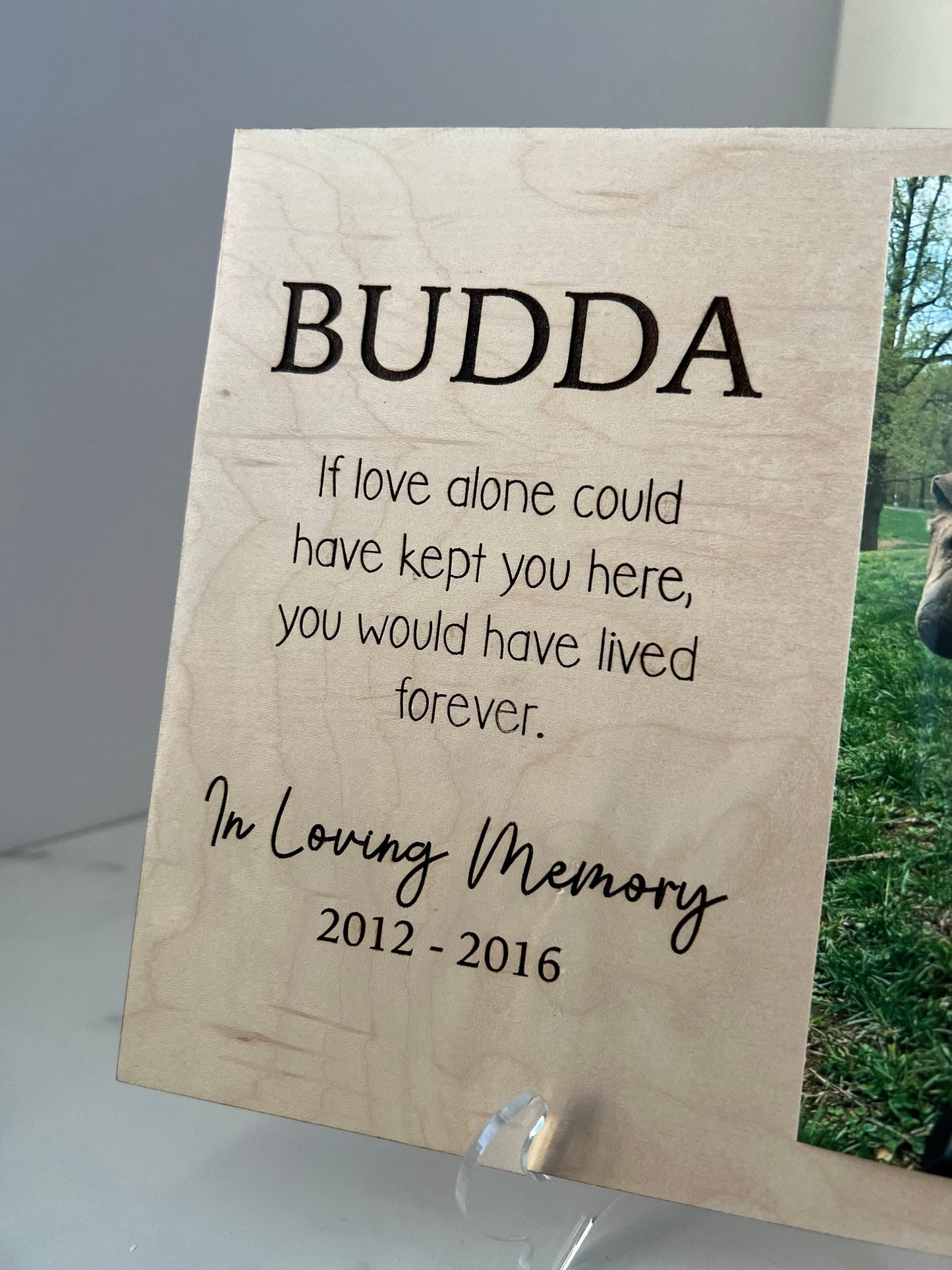 Pet Memorial Sign, Dog Loss Keepsake, Cat Loss Present, Memorial Picture frame, Bereavement, Sympathy Gift