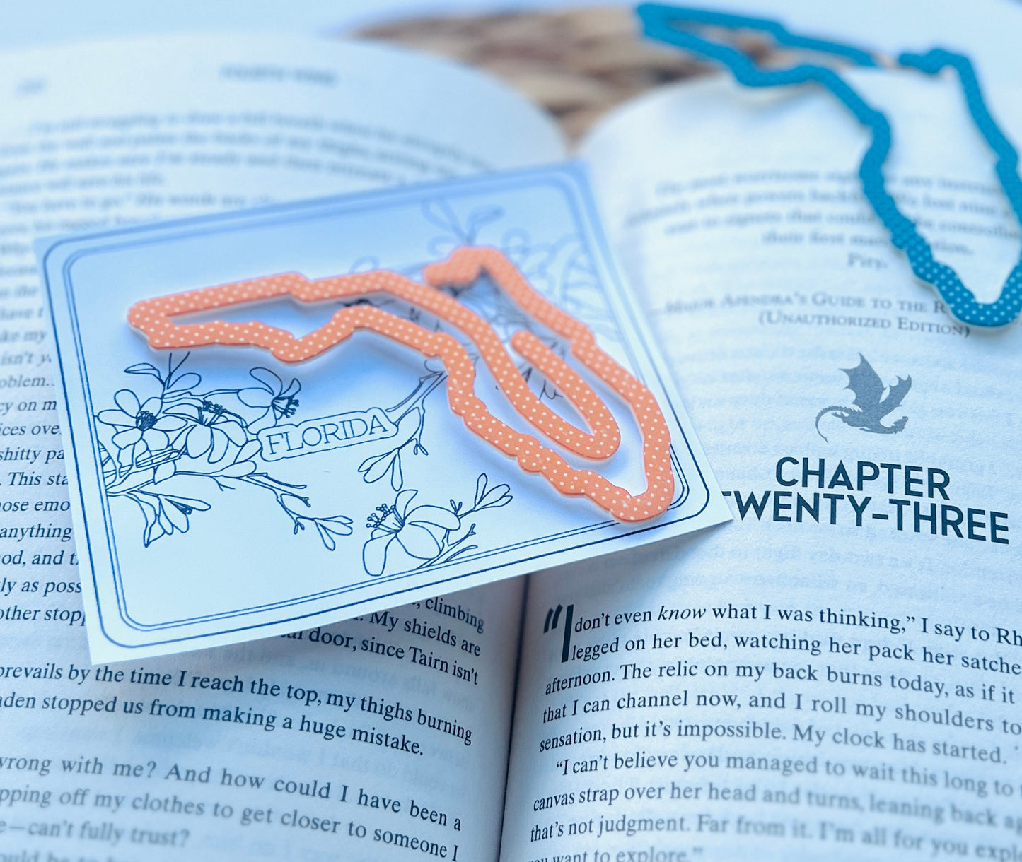 Florida State Bookmark, FL Vacation Keepsake, Family Trip Memory, State themed Souvenir, Book Lover, Bookworm, Bookish, Travel Gift