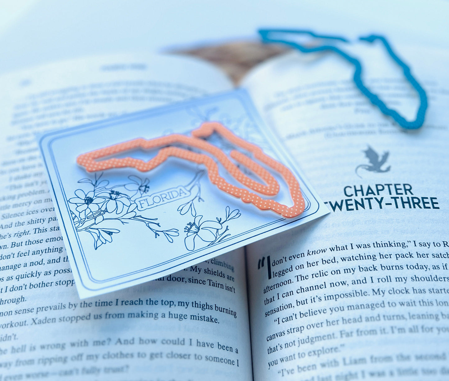 Florida State Bookmark, FL Vacation Keepsake, Family Trip Memory, State themed Souvenir, Book Lover, Bookworm, Bookish, Travel Gift