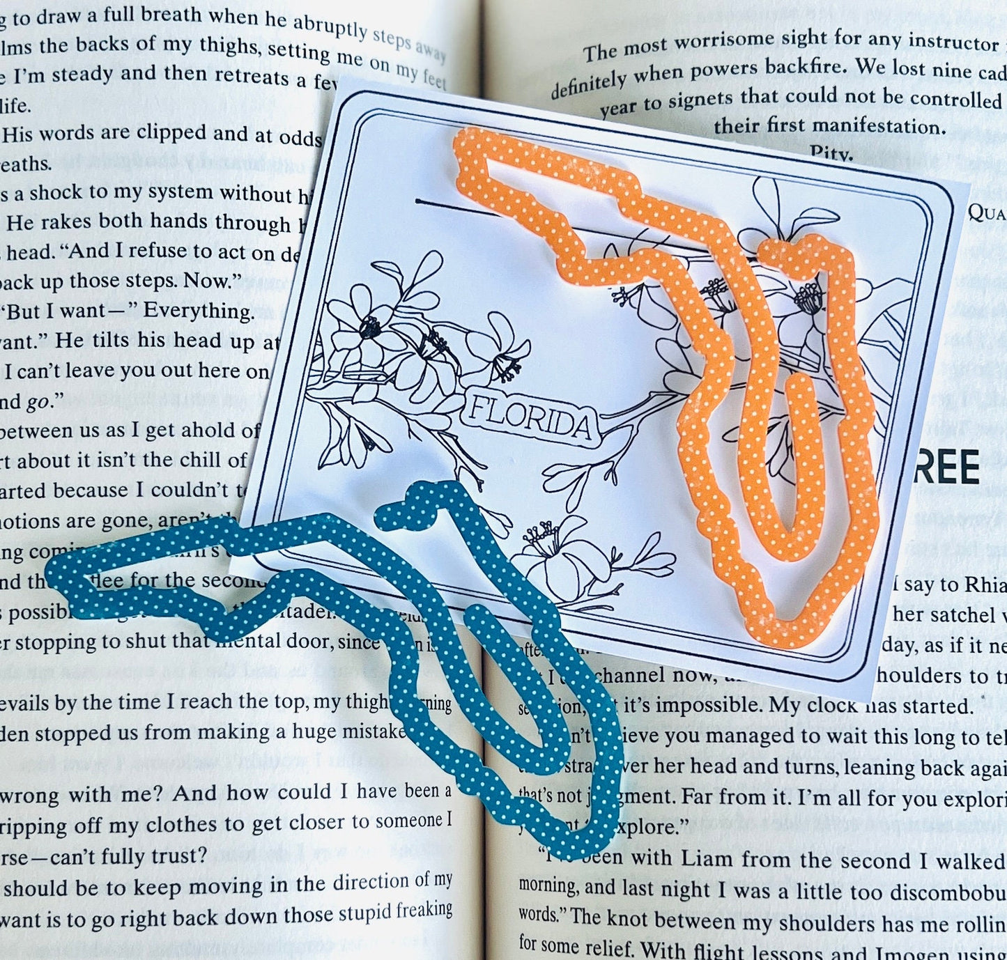 Florida State Bookmark, FL Vacation Keepsake, Family Trip Memory, State themed Souvenir, Book Lover, Bookworm, Bookish, Travel Gift