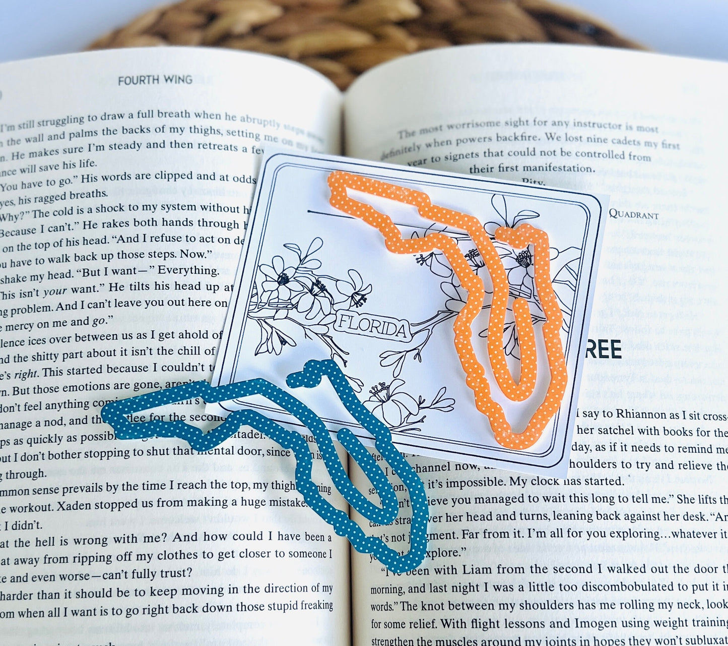 Florida State Bookmark, FL Vacation Keepsake, Family Trip Memory, State themed Souvenir, Book Lover, Bookworm, Bookish, Travel Gift