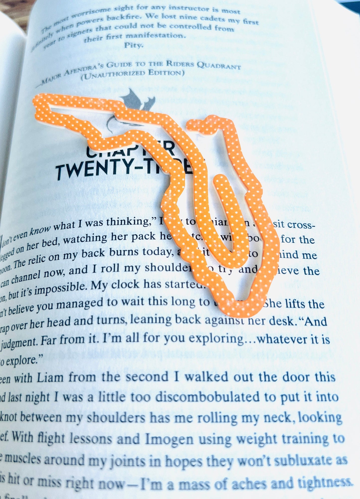 Florida State Bookmark, FL Vacation Keepsake, Family Trip Memory, State themed Souvenir, Book Lover, Bookworm, Bookish, Travel Gift